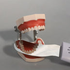 Anti-Fog Intraoral Dental Photography Mirror