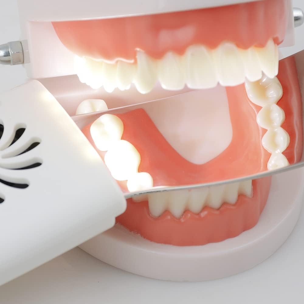 Anti-Fog Intraoral Dental Photography Mirror